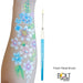 BOLT | Face Painting Brush by Jest Paint - Diamond Collection - Fresh Petal Brush