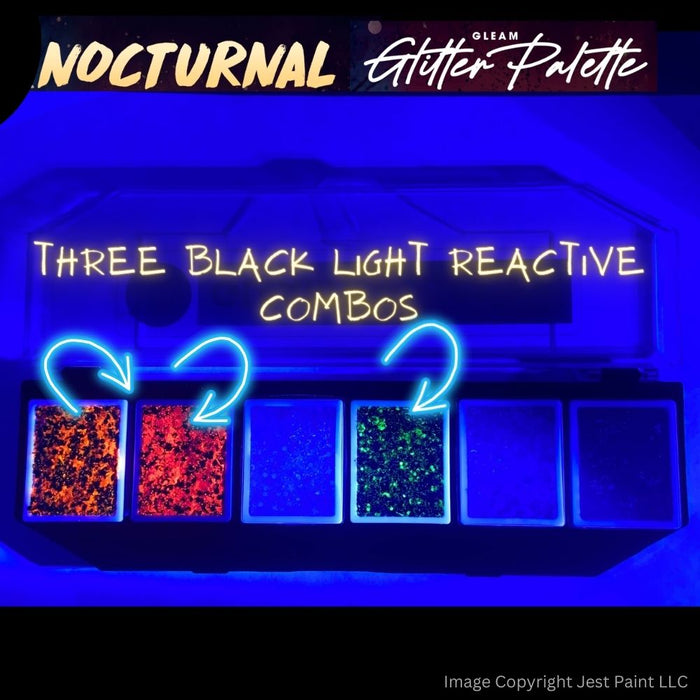 VIVID Glitter | GLEAM Glitter Cream | Nocturnal -  6 Color PALETTE (48gr)
