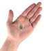 Jest Jewelz Face Painting Gems | Horse Eye Shape - Small Lilac Crystals - 1 tbsp (aprox 60 gems)