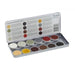 Superstar Face Paint | Aqua Face and Body Painting Palette - 12 Color Fearsome Faces Palette by Matteo Arfonotti